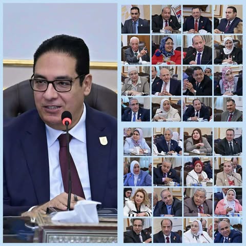 قرارات مجلس جامعة القاهرة وضوابط المشاركات العلمية