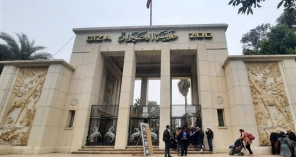 حديقة الحيوان بالجيزة تعود.. مفاجآت تنتظر الزوار بعد الافتتاح