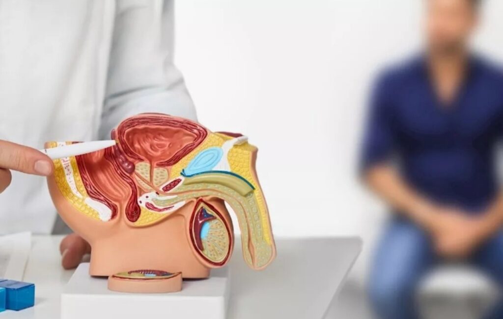 أطعمة تحمي البروستاتا وتقلل مخاطر التضخم.. 7 خيارات مفيدة للرجال