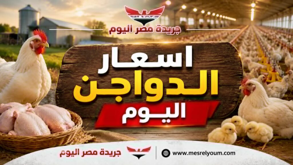 أسعار الدواجن اليوم الثلاثاء 4 أغسطس 2026 في البورصة والأسواق