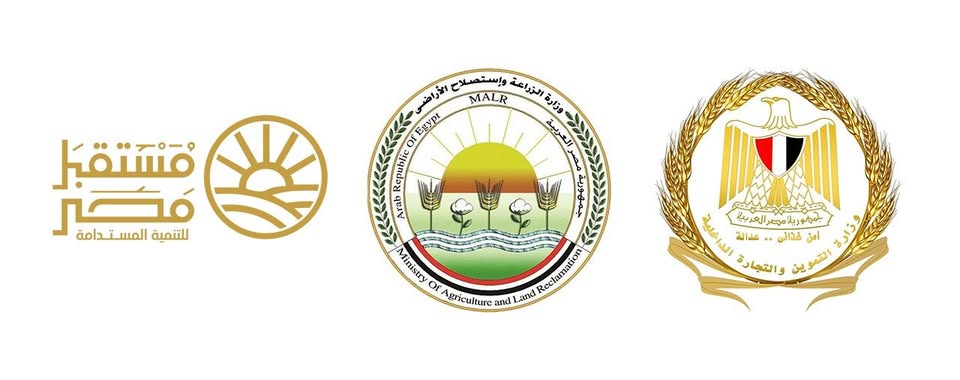 تخفيض الأسعار؛ طرح السكر الحر بسعر 25 جنيهاً بالمنافذ