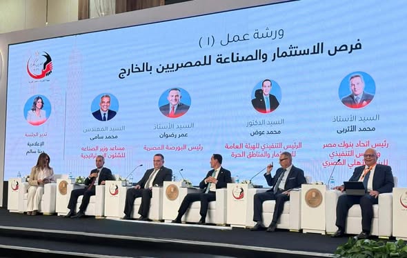 محافظة جنوب سيناء والبورصة المصرية تتفقان على فعالية