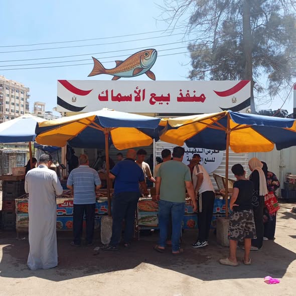 المتابعة اليومية للأسعار والتخفيضات بالمعرض الدائم بالمنصورة