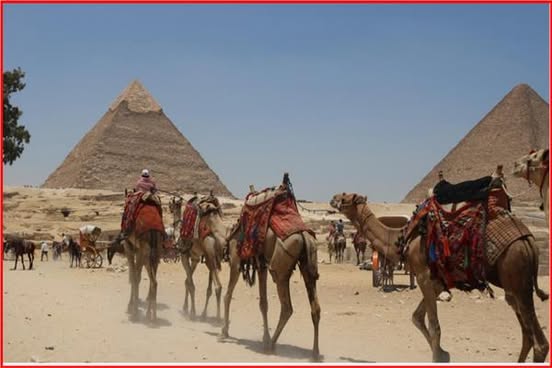تفاصيل حقيقة التطوير الشامل لمنطقة أهرامات الجيزة