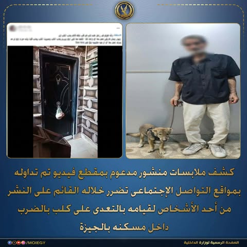 ضبط عامل بالجيزة لاتهامه بالتعدي بالضرب على كلب داخل شقته بإمبابة