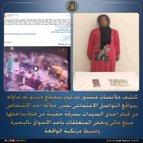 ضبط سيدة متهمة بمغافلة ربة منزل وسرقة أموال وهاتف بالبحيرة