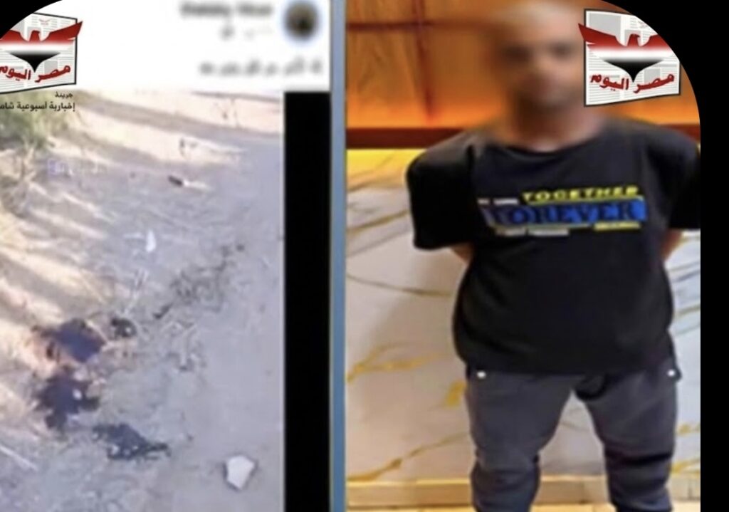 من صديق إلى متهم.. حجر أنهى حياة عامل والسكّة الحديدية كانت محاولة لإخفاء الجريمة