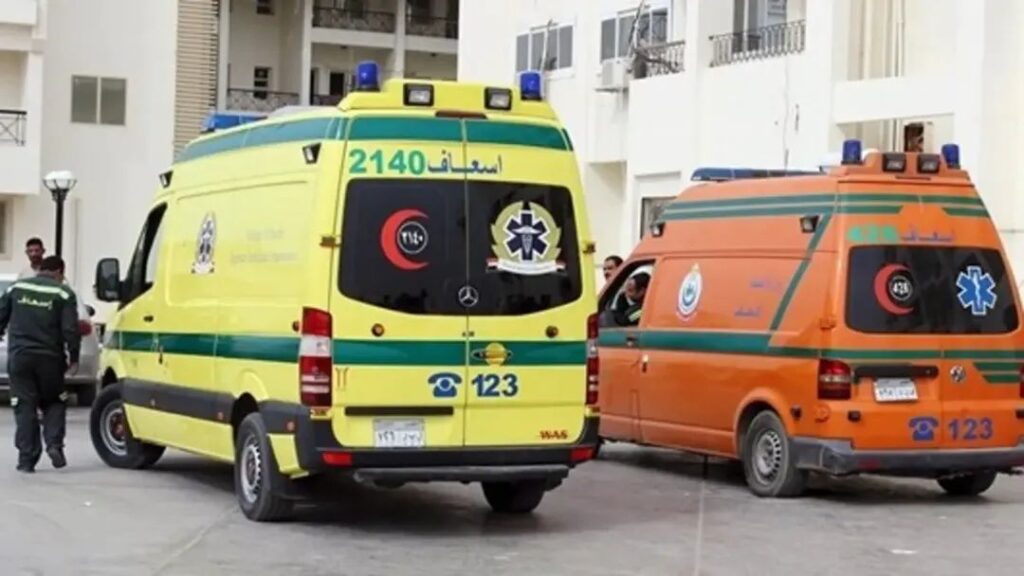 حوادث وقضايا؛ حادث دهس أمام قرية شها بالدقهلية