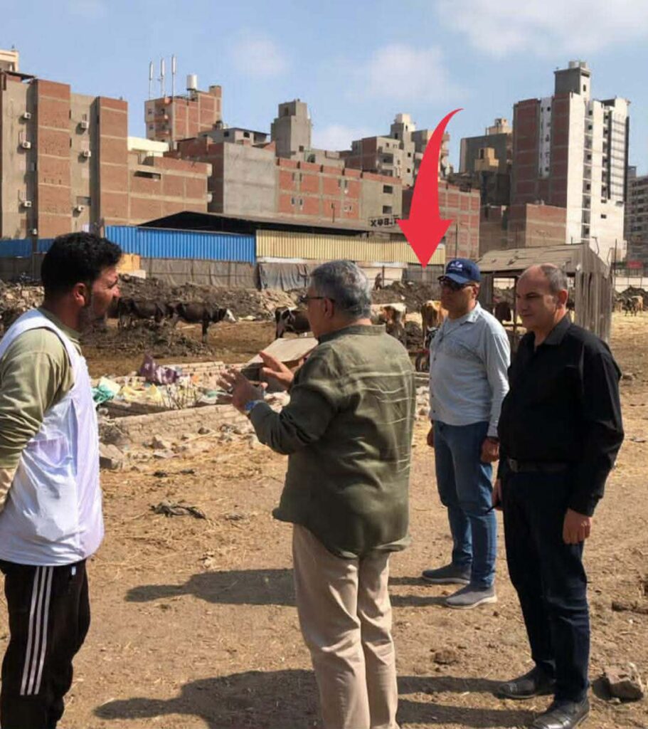 تفاصيل مهلة الـ 5 ساعات لمحافظ الدقهلية لإعادة الانضباط بمدخل المنصورة وميدان سندوب