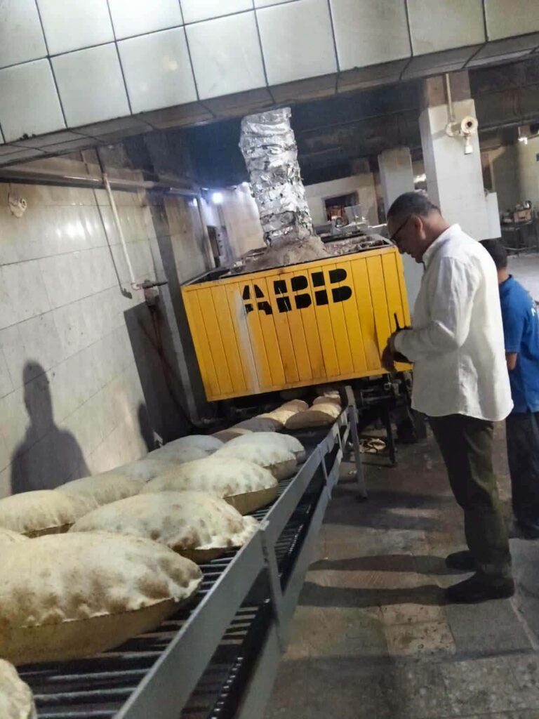 حملات تموينية بالدقهلية تحرر 353 مخالفة 2026 ومصادرة سولار