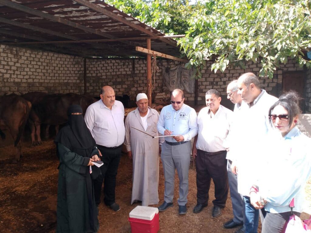 محافظ الدقهلية: تحصين 254 ألف رأس ماشية ضد الأمراض الوبائية