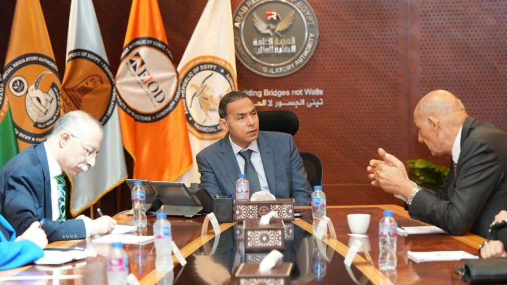 تحركات جديدة لتطوير الأسواق المالية.. الرقابة المالية تبحث توسيع التعاون العربي