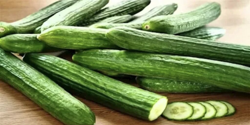 الخيار.. فوائد غذائية تجعله اختيارًا مناسبًا على مائدة الطعام