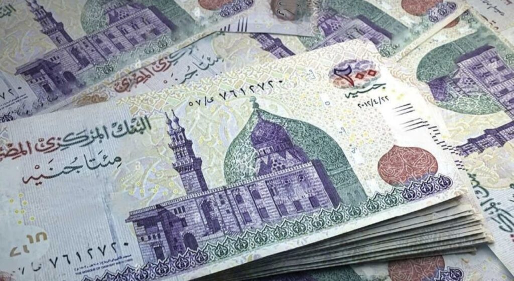 عروض وهمية تقود إلى سرقة البيانات البنكية.. تحذير جديد من البنك المركزي