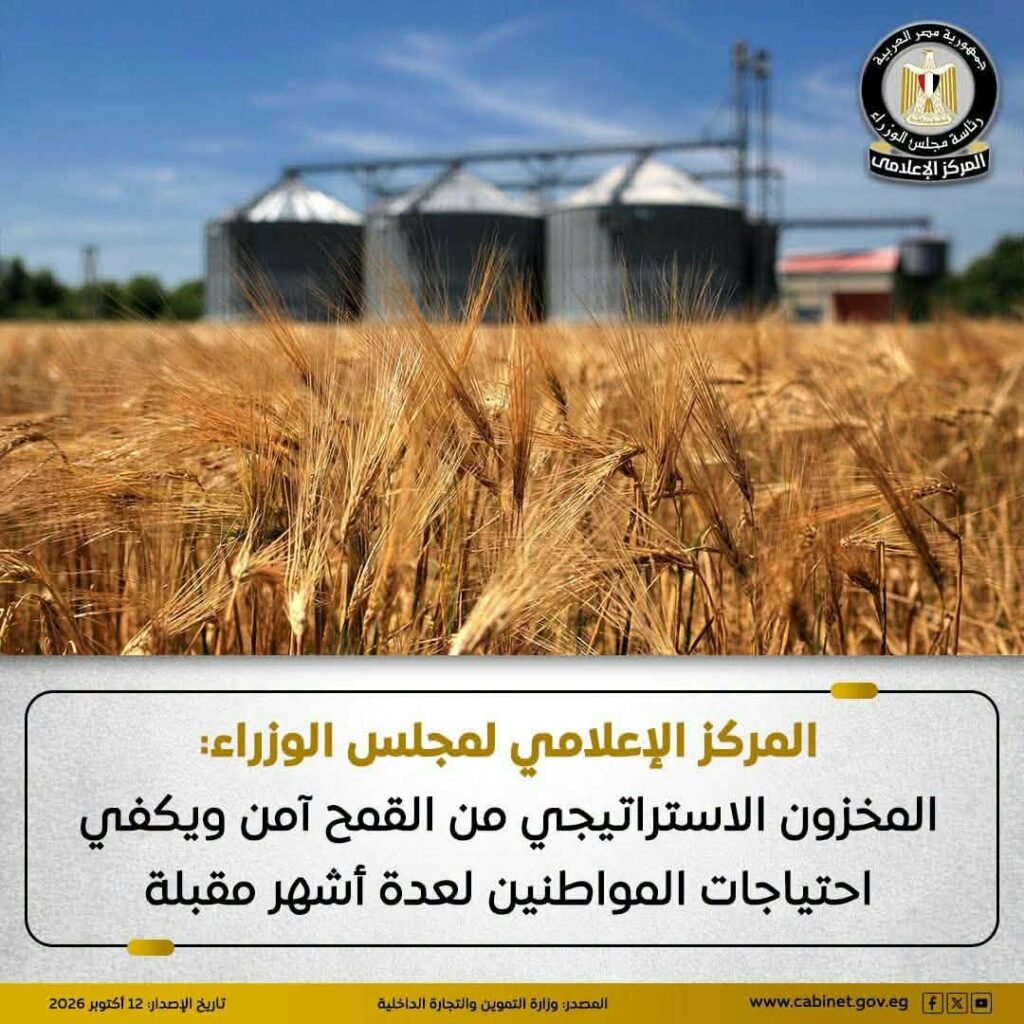 التموين تحسم الجدل بشأن مخزون القمح في مصر وتكشف حجم الاحتياطي الاستراتيجي